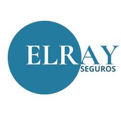 Elray logo 3